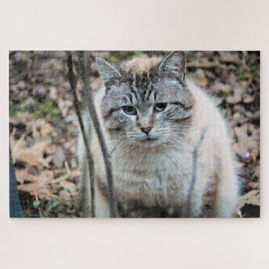 Kat Legpuzzel (Horizontaal)