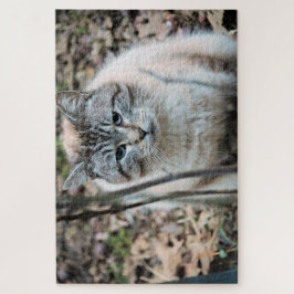 Kat Legpuzzel