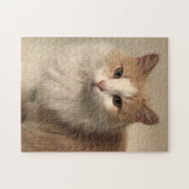Kat Legpuzzel (Horizontaal)