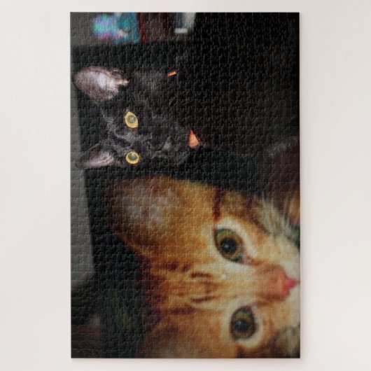 Kat Legpuzzel (Verticaal)