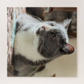 Kat Legpuzzel (Horizontaal)