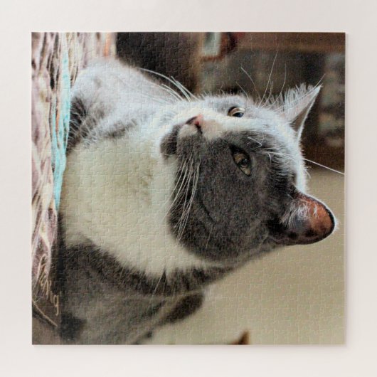 Kat Legpuzzel (Horizontaal)