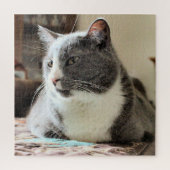 Kat Legpuzzel (Verticaal)