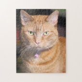 Kat Legpuzzel (Verticaal)