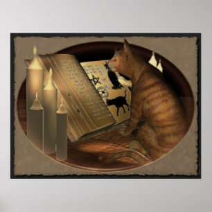 Kat Lessons-afdrukken bestuderen Poster