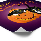 Kat leuk om met de pompoenen te spelen poster (Hoek)