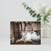 Kat lezen in Bril Postcrossing Briefkaart (Staand voorkant)