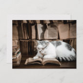 Kat lezen in Bril Postcrossing Briefkaart (Voorkant / Achterkant)