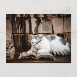 Kat lezen in Bril Postcrossing Briefkaart