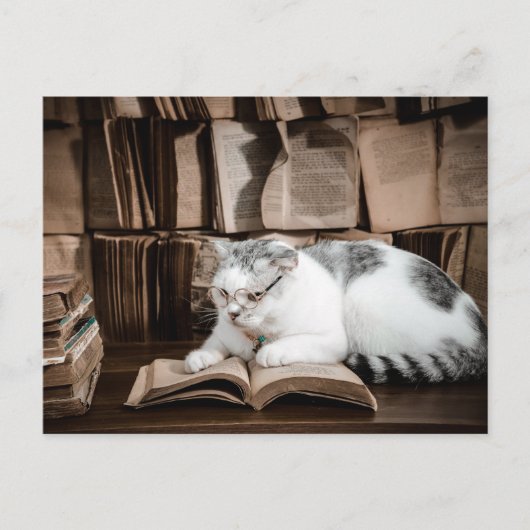 Kat lezen in Bril Postcrossing Briefkaart (Voorkant)