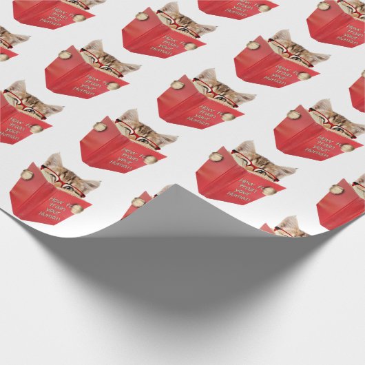 Kat lezen rood boek cadeaupapier (Hoek)