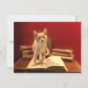 Kat lezen Verblijf in boeken Postcrossing Briefkaart