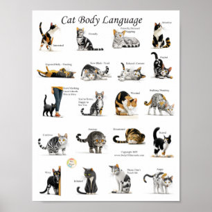 Kat LichaamsTaal Grafiek Poster