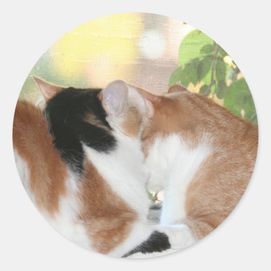 Kat liefde sticker (Voorkant)
