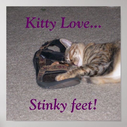Kat liefde... Stinky voeten! Poster (Voorkant)