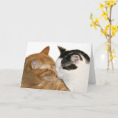 kat-liefdeskaart kaart (Gele Bloem)