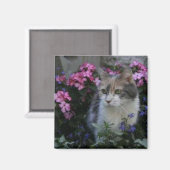 Kat Liefdesmagneet Magneet (Voorkant / Achterkant)