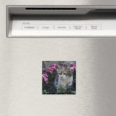 Kat Liefdesmagneet Magneet (Insitu (Vaatwasser))