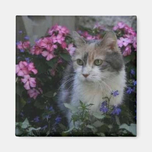 Kat Liefdesmagneet Magneet (Voorkant)