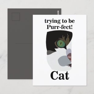 Kat Liefhebber Grappig Briefkaart