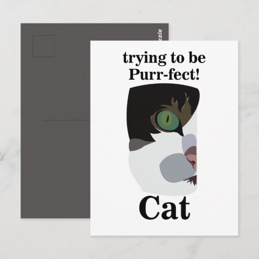 Kat Liefhebber Grappig Briefkaart (Voorkant / Achterkant)