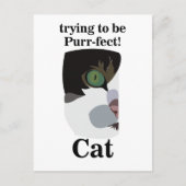 Kat Liefhebber Grappig Briefkaart (Voorkant)