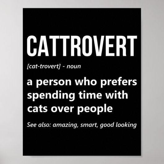 Kat Liefhebber Grappige Cattrovert Definitie Kitty Poster (Voorkant)