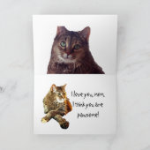 KAT LIEFHEBBER MOEDERDAG  KAART (Binnen)
