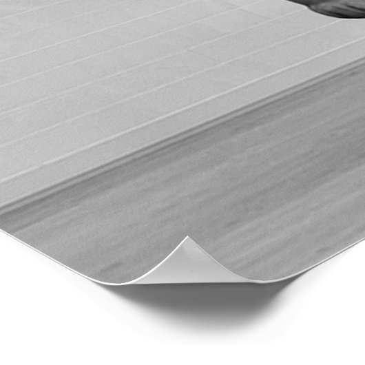 Kat Liefhebbers Badkamer Wall Art, Zwart-wit Kat Poster (Hoek)