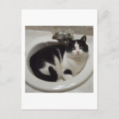 Kat-liefhebbers delven briefkaart (Voorkant)