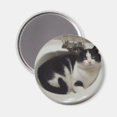 Kat-liefhebbers delven magneet (Voorkant / Achterkant)