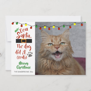 Kat Liefhebbers, "Lieve Sint, de hond heeft het ge Feestdagenkaart