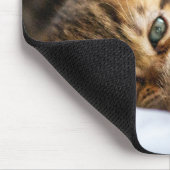 Kat Liefhebbers Muismat (Hoek)