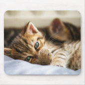 Kat Liefhebbers Muismat (Voorkant)