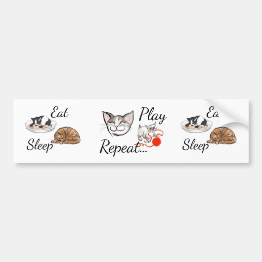 Kat life Bumpersticker (Voorkant)