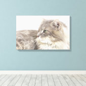 Kat liggen canvas afdruk (Insitu (Houten vloer))