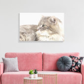 Kat liggen canvas afdruk (Insitu (Woonkamer))