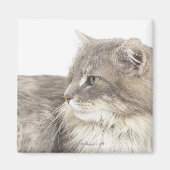 Kat liggen magneet (Voorkant)