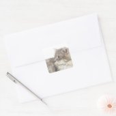 Kat liggen vierkante sticker (Envelop)