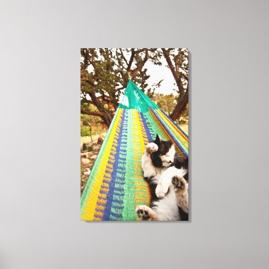 Kat ligt in Mayan Mexican hammock Canvas Afdruk (Voorkant)