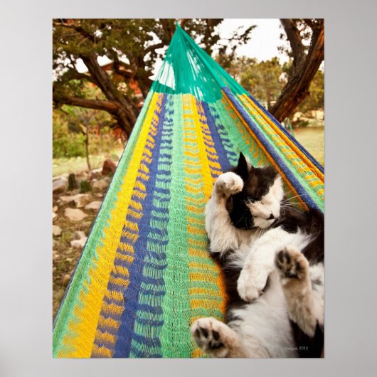 Kat ligt in Mayan Mexican hammock Poster (Voorkant)