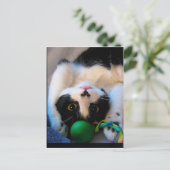 Kat ligt op bed briefkaart (Staand voorkant)