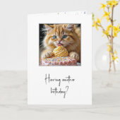 Kat likt een verjaardagstaart kaart (Gele Bloem)