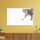 Kat lopen canvas afdruk (Insitu (Woonkamer))