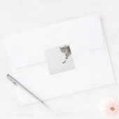 Kat lopen vierkante sticker (Envelop)