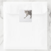 Kat lopen vierkante sticker (Tas)