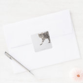 Kat lopen vierkante sticker (Envelop)