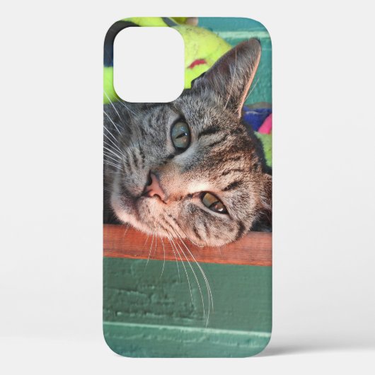 Kat Love Case-Mate iPhone Case (Achterkant)