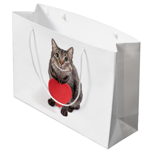 Kat Love Groot Cadeauzakje (Achterkant Gekanteld)