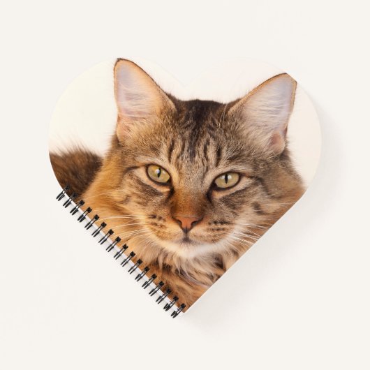 Kat Love Notitieboek (Voorkant)